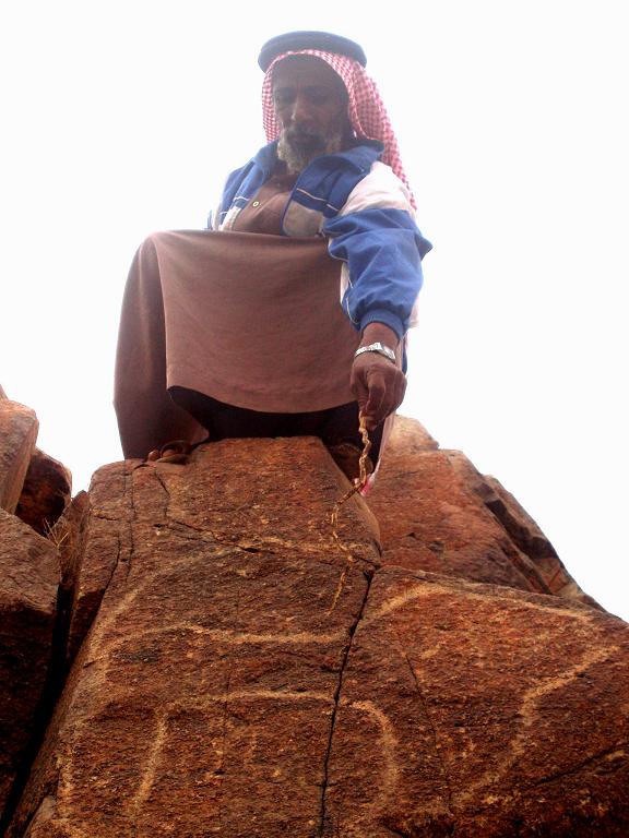 جويبر يشير الى نقش للنمر العربي